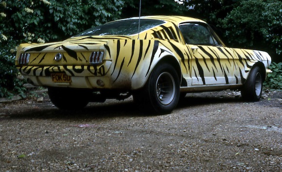 Paul stokes and ford #7